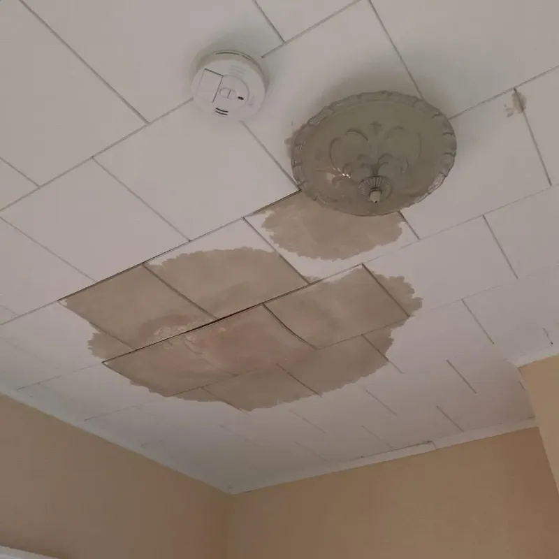 Ceiling Water Damage Repair in Fayette County, IA