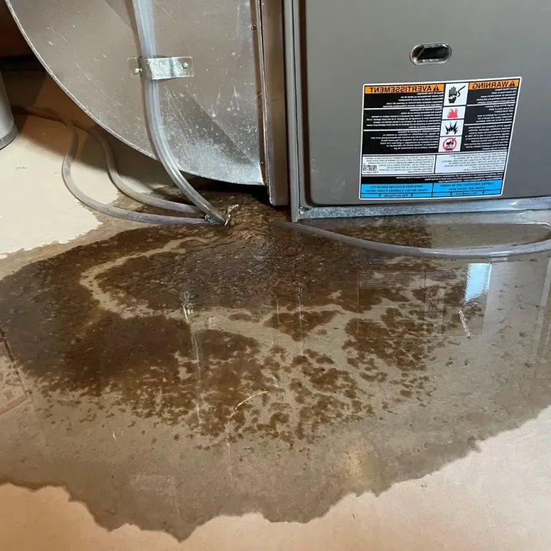 Pipe Burst and Leak Restoration in Fayette County, IA