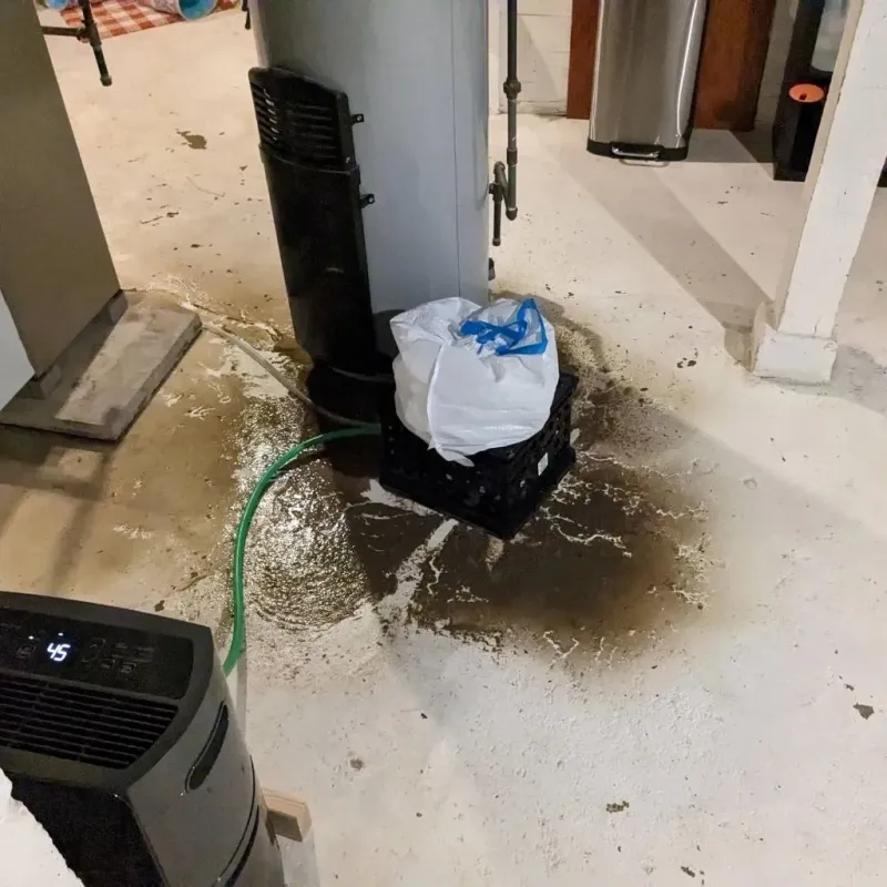 Sewage Backup Cleanup Service in Fayette County, IA